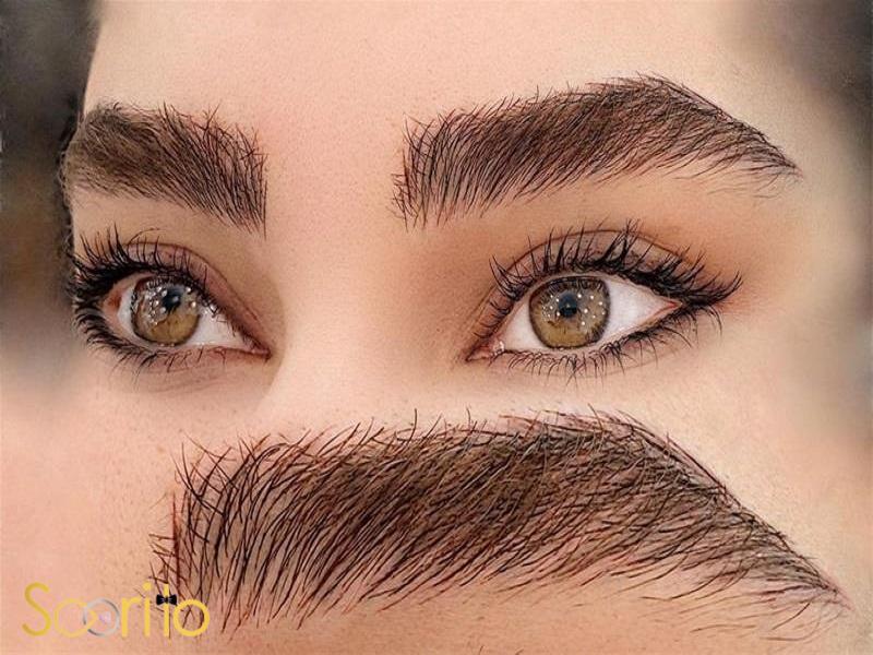 مدل ابرو میکروبلیدینگ برای صورت کشیده