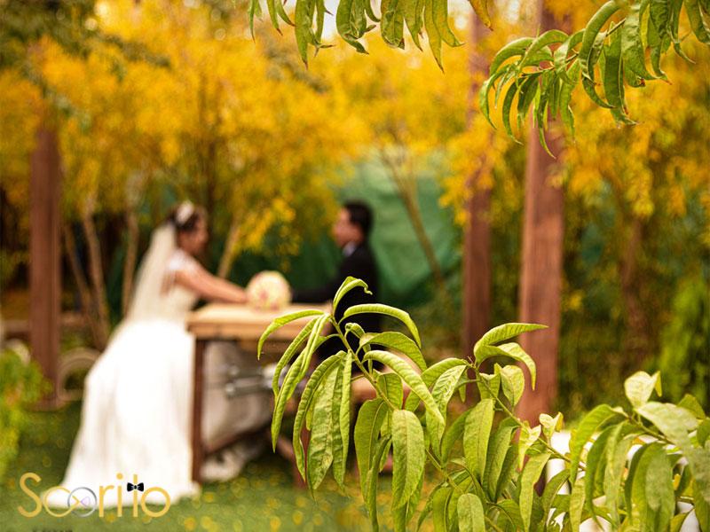 مراحل شکایت از آتلیه عکاسی عروسی