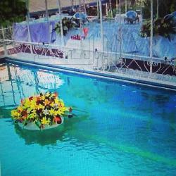 تصویر باغ   تالار  سعادت