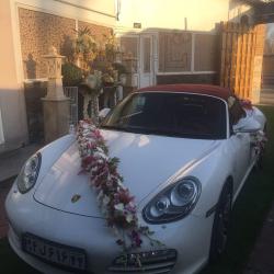 تصویر باغ   تالار مینیاتور