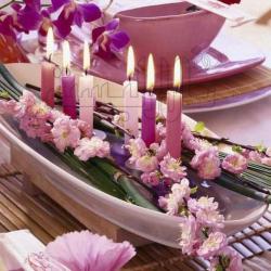 مجموعه تصاویر   باغ   سمیعی